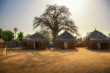 Gordijnen Traditional village houses with a boabab tree in the background, Senegal, Africa © Nick Fox