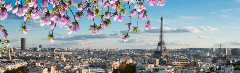 eiffel tour and Paris cityscape