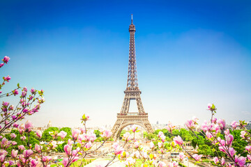 Eiffel Tower and Paris cityscape - obrazy, fototapety, plakaty