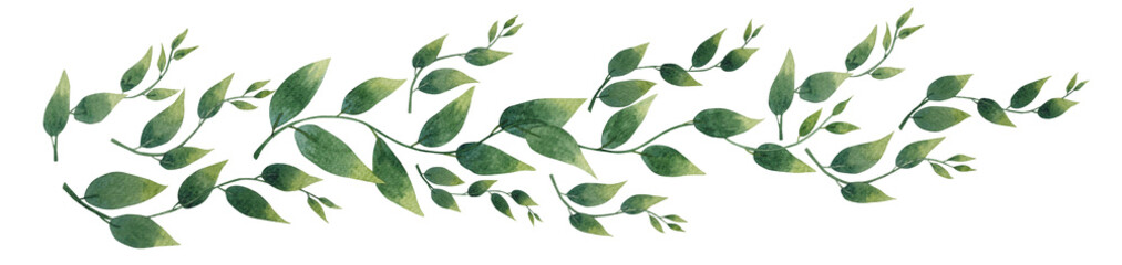 Watercolor illustration of garland with green leaves branches. Hand drawn vivid leaves garlands. Hand-drawn high resolution art. 