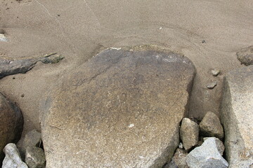 岩場と砂地の境目