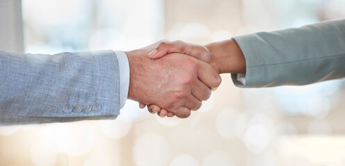 Handshake, deal and business people with a welcome meeting, thank you and support. B2b, together...