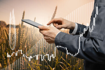 Price growth chart against the background of wheat ears and hands with digital tablet.