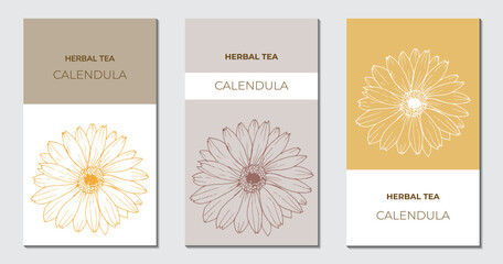 Herbal tea Calendula labels templates set. Abstract vector packaging design layout with hand drawn marigold flower.