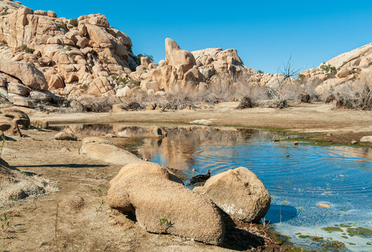 Barker Dam at Joshua Tree National Park, California