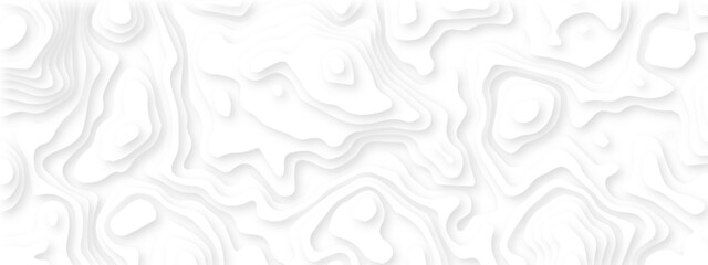 Abstract wavy line 3d paper cut white background. Topographic canyon geometric map relief texture with curved layers and shadow. Abstract realistic papercut decoration textured with wavy layers