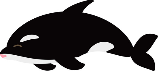 ゆるかわなシャチ　笑う