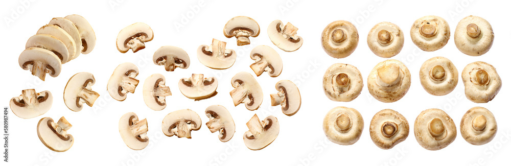 Wall mural set of champignon mushroom isolated on transparent, white background