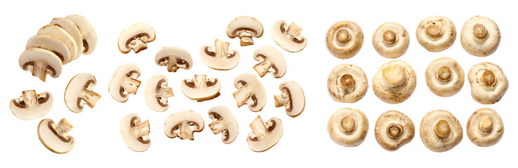 Set of champignon mushroom isolated on transparent, white background - obrazy, fototapety, plakaty