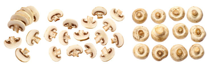 Set of champignon mushroom isolated on transparent, white background