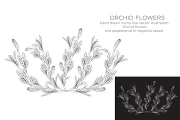 hand drawn monoline vector illustration.
orchid flowers.
with appearance in negative space.