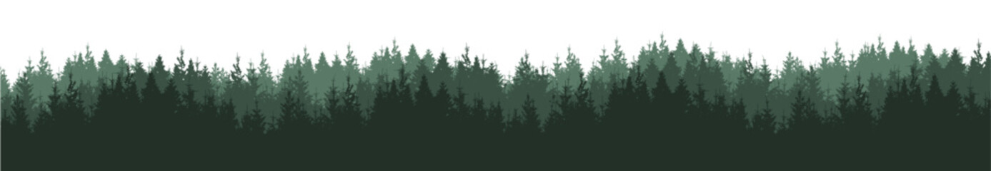 Realistic forest vector illustration wide panorama landscape - Green silhouette of fir and spruce woods trees, isolated on white background long