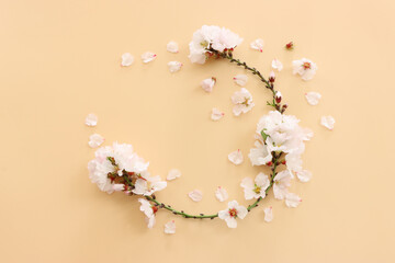 image of spring white cherry blossoms tree over pink pastel background