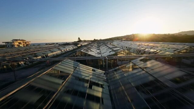 Destroyed Greenhouse at sunset light 