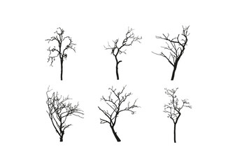 Vector set of six tree silhouettes