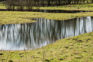 the reflection of trees in a pond in nature area Kruisbergse Bossen