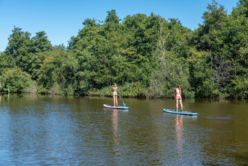 Stand up Paddling im Naturschutzgebiet Loosdrechtse Plassen bei Loosdrecht. Provinz Nordholland in...