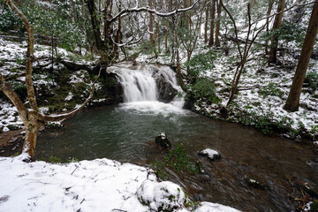うっすらと雪化粧した森の中を流れる渓流と滝
