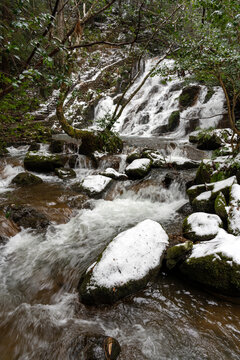 うっすらと雪化粧した森の中を流れる渓流と滝