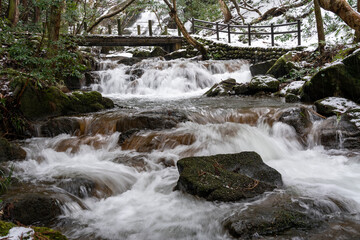 うっすらと雪化粧した森の中を流れる渓流と滝