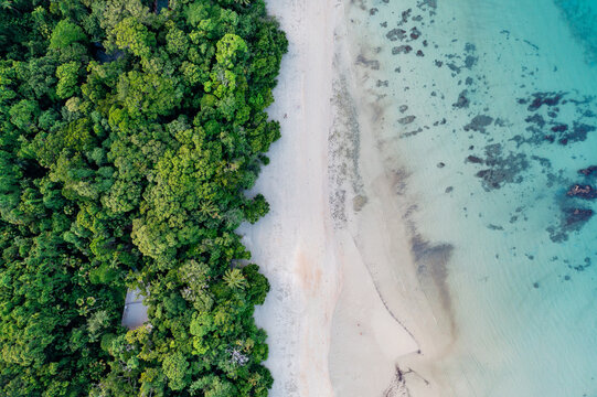 Rainforest meets the reef in the Daintree National Park