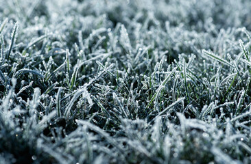 Close up frozen ice on grass