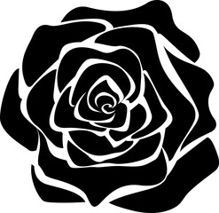 Fototapeta premium bud rose