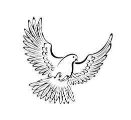 Stylized Dove