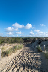 Le Porge, près de Lacanau (Gironde, France). Accès à la plage dans les dunes et la forêt de pins