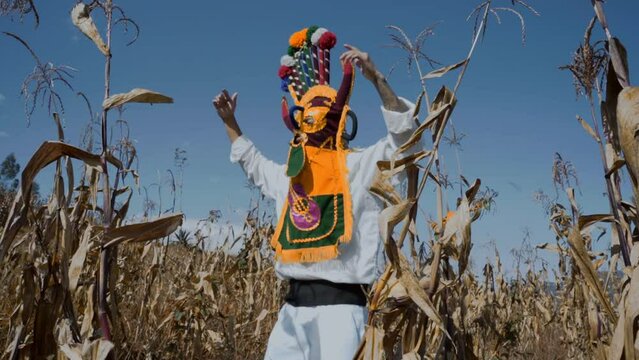 Aya huma dancing in the cornfield.