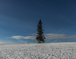 Zimowy widok na Tatry z przełęczy Łapszanka