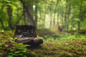 Pair of leather brown trekking shoes on blurred background of green forest. Close up of hiking...