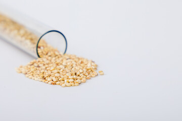 White quinoa seeds in a glass test tube, close-up, selective focus.