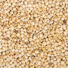 
Natural background of white quinoa seeds.