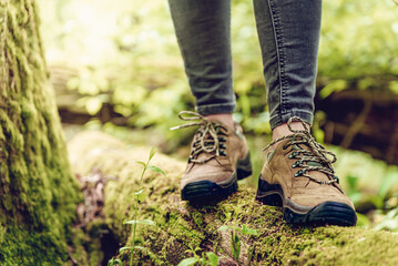 Close up of hiker feet and hiking boots on wood log in forest. Woman walking and wearing trekking shoes. 