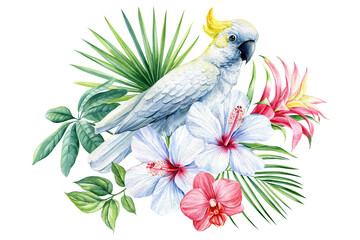 Beautiful tropical bird watercolor illustration hand drawing, parrot, flowers and palm leaf in isolated white background