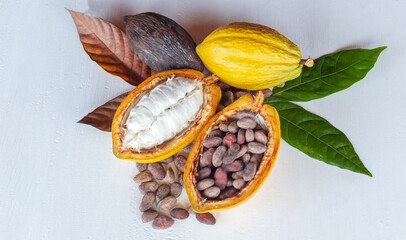Fototapeta na wymiar Top view of ripe fresh slide cocoa pods, half in cut cocoa fruit, and dry brown cocoa beans with green cacao leaf on white wooden background