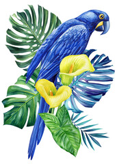 Watercolor Blue parrot macaw, flowers, palm leaf in isolated white background. Tropical bird illustration hand drawing,