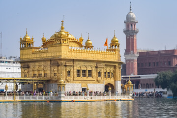 Naklejka premium Beautiful view of Golden Temple (Harmandir Sahib) in Amritsar, Punjab, India, Famous indian sikh landmark, Golden Temple, the main sanctuary of Sikhs in Amritsar, India