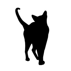 gatto nero silhouette sagoma nera in piedi con coda in su