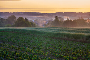 Extensive,organic farming in Poland