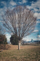 田舎の公園