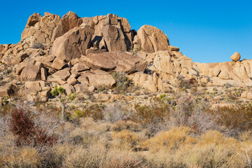 Fototapeta premium Boulders and Rock Formations at Joshua Tree National Park, California