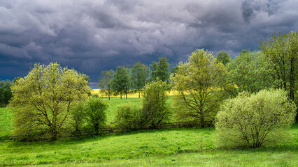 Fototapeta premium Felder und Bäume im Frühling vor heraufziehendes Gewitter