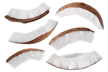 Slice of coconut isolated on white background. Collection - obrazy, fototapety, plakaty
