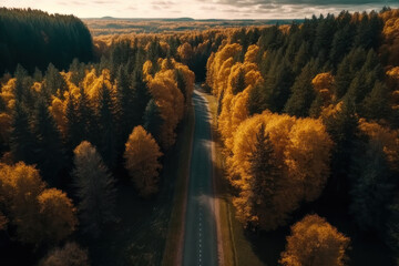 Road in the forest in autumn, top view from a drone. AI generative.