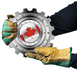 Manual worker with work gloves holding a metallic cogwheel (metal gear) with the national flag of the Canada (Canadian flag), isolated on white or transparent background. Png.