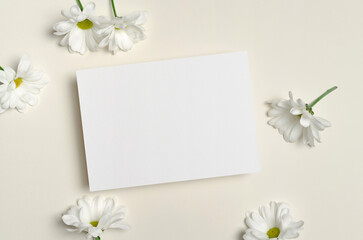 Blank greeting or invitation card mockup with white daisy flowers, flat lay