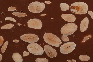 Surface of chocolate turron with almonds, close-up. Traditional Spanish Turron with cocoa, milk chocolate and nuts. Design element