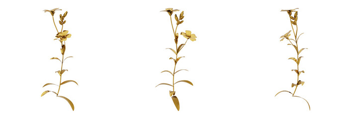 Design of a stylish and gorgeous golden plant. Ideal for adding a luxurious touch to your projects. PNG file with high transparency. 3d render.